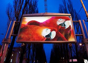 led billboardy - digital signage - led panely - led obrazovky - led screen